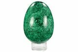 Stunning, Polished Malachite Egg - Congo #129537-3